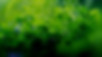 shutterstock_1169704354_edited_edited.jpg